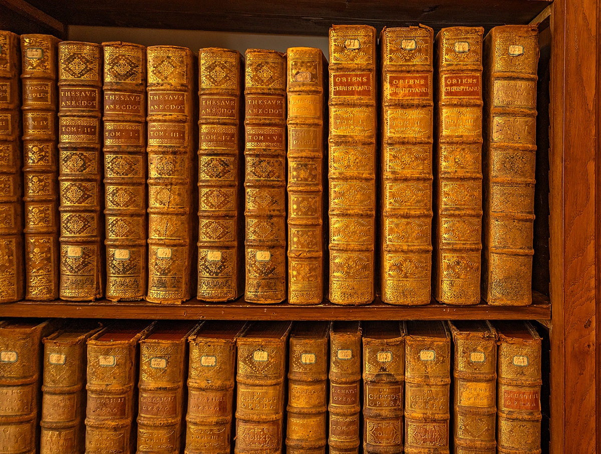 20251017 Mediatheque Photo Club Val de Saone 17