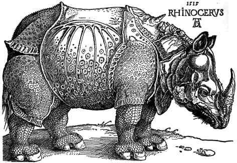 Rhinoceros de Dürer