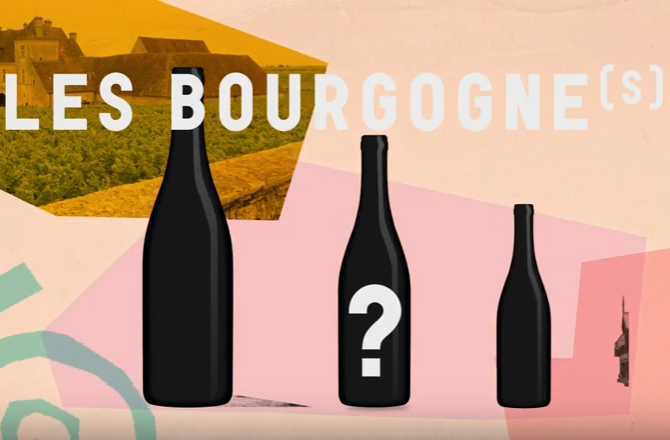 Capture d'écran vidéo BIVB Bourgogne, la base